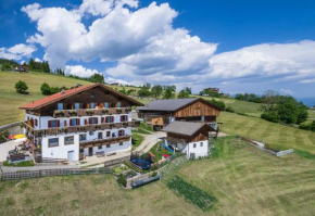  Langwieserhof   Рио-Ди-Пустерия